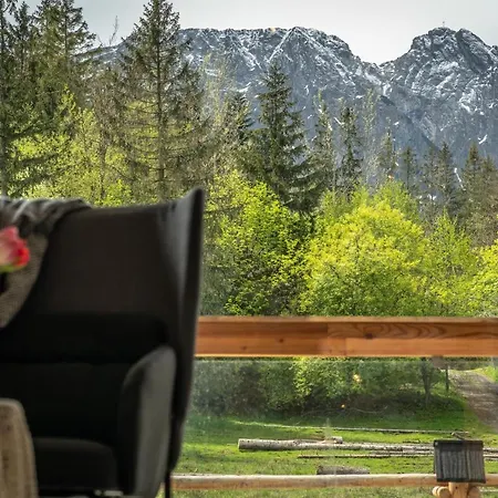 Apartament Biały Miś Art&design Zakopane